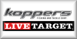 LiveTarget
